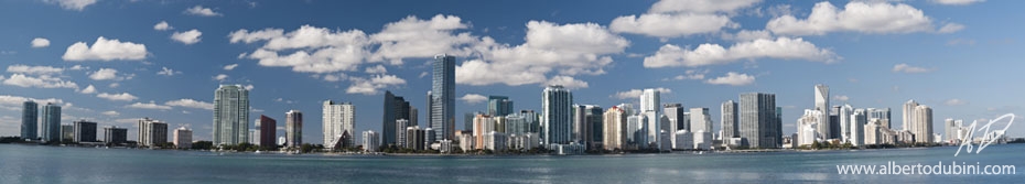 Miami Skyline